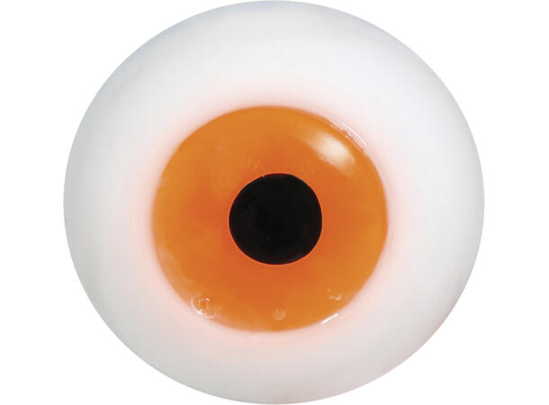 Øyeepler i myk gummi - Assorterte farger Display med 48 øyne i gummi - 2cm 