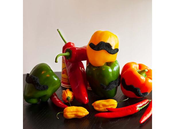 5 Sorte barter . Mexico 5 selvklebende barter 