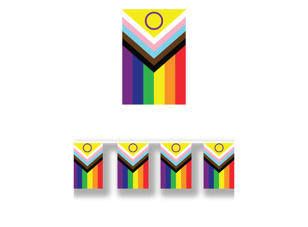 Flaggbanner - Pride - LHBTIQ+ 1 Flaggbanner i papir - 2,5m 