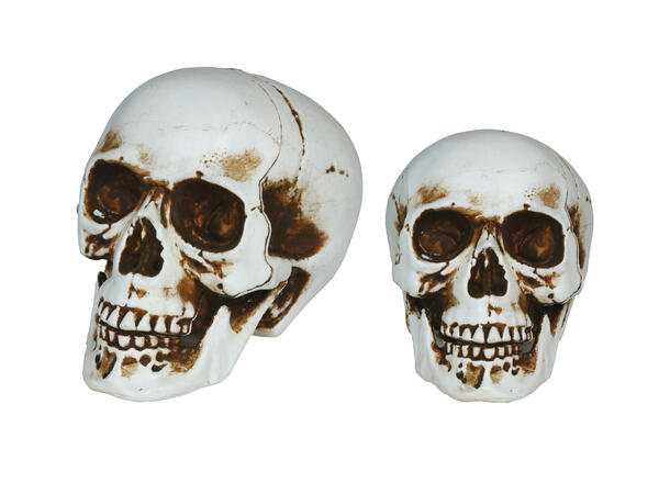 Hodeskalle - Hvit 1 Dekorasjon i PVC - 20cm 