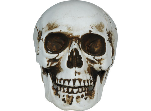 Hodeskalle - Hvit 1 Dekorasjon i PVC - 20cm 