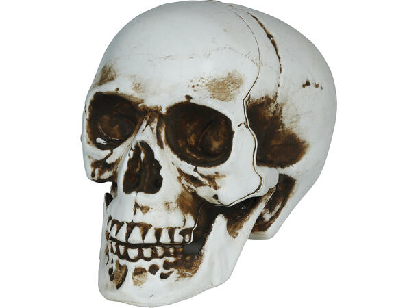 Hodeskalle - Hvit 1 Dekorasjon i PVC - 20cm 