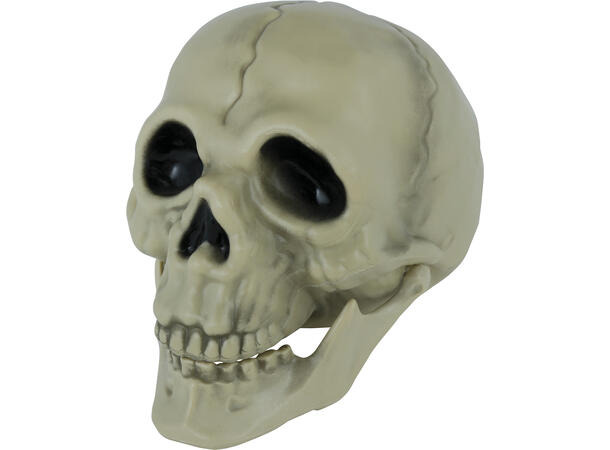 Hodeskalle - hvit 1 Dekorasjon i PVC - 13cm 
