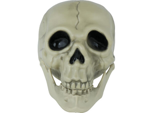 Hodeskalle - hvit 1 Dekorasjon i PVC - 13cm 
