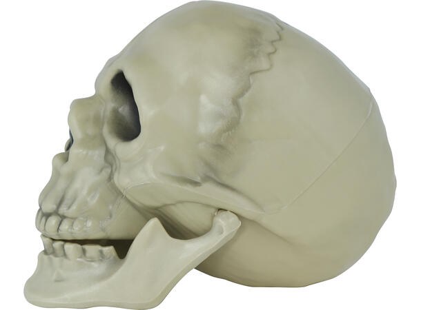 Hodeskalle - hvit 1 Dekorasjon i PVC - 13cm 