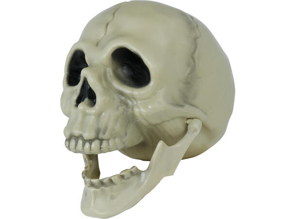 Hodeskalle - hvit 1 Dekorasjon i PVC - 13cm 