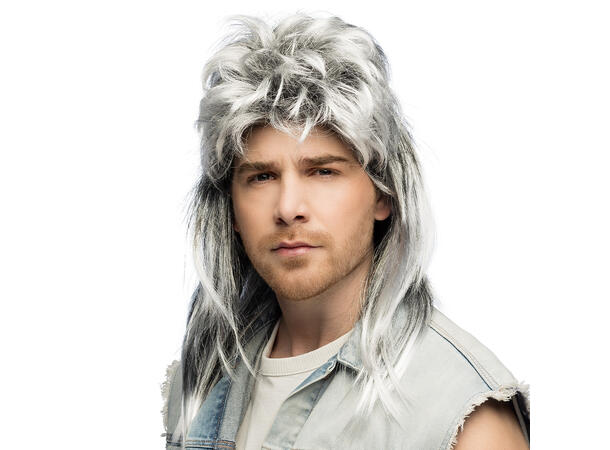 Parykk -  Davey  - Grå lang 1 Herreparykk - Onesize 