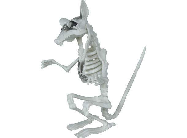 Rotteskjelett 1 Dekorasjon i PVC - 17cm 