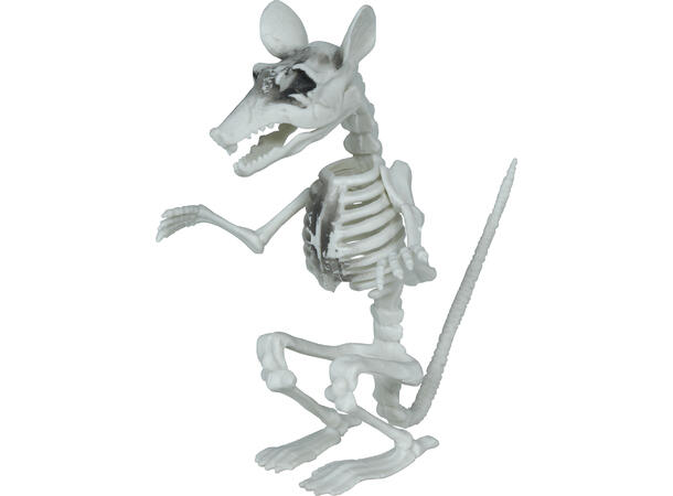 Rotteskjelett 1 Dekorasjon i PVC - 17cm 