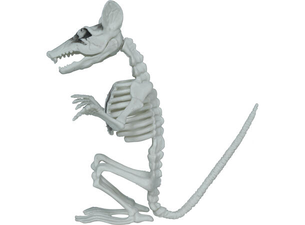 Rotteskjelett 1 Dekorasjon i PVC - 17cm 