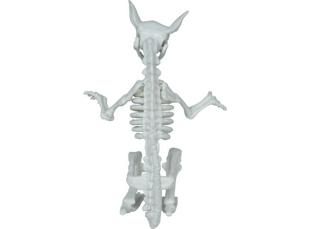 Rotteskjelett 1 Dekorasjon i PVC - 17cm 