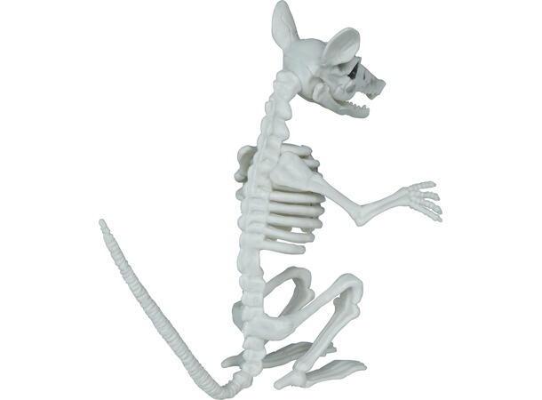 Rotteskjelett 1 Dekorasjon i PVC - 17cm 