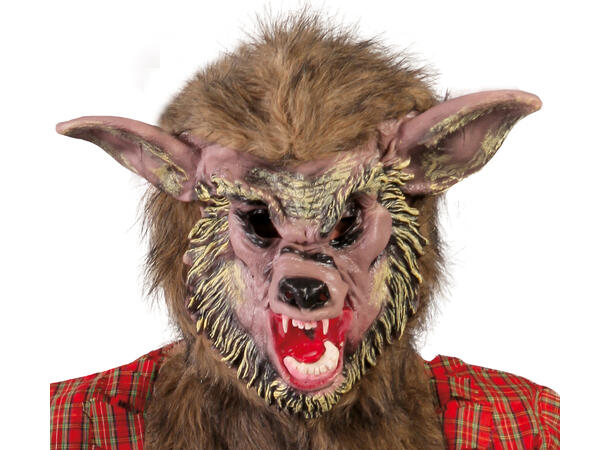 Skotsk Ulv - Skjorte og maske 1 Herrekostyme - str 52-54 (L) 