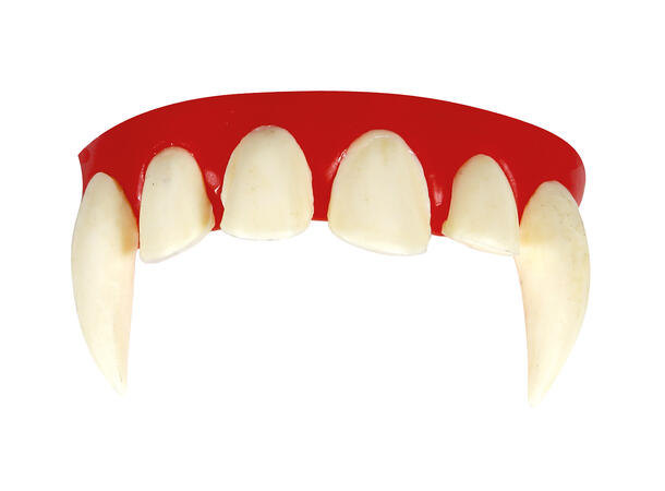 Vampyrtenner - Helt sett 1 sett med tenner i termoplast 