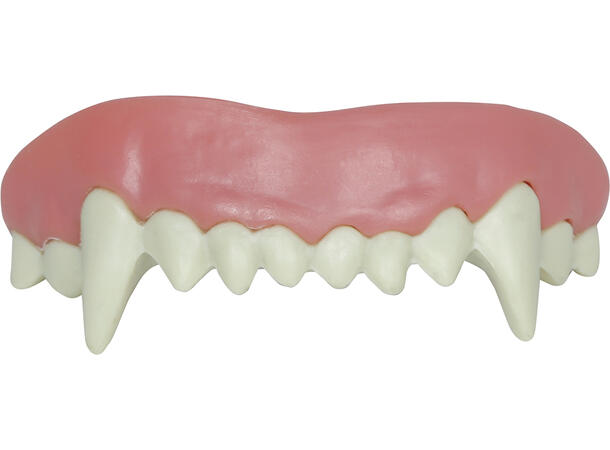 Vampyrtenner - High Quality 1 Sett tenner i harpiks - Overkjeve 