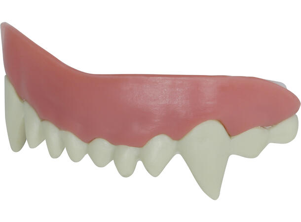 Vampyrtenner - High Quality 1 Sett tenner i harpiks - Overkjeve 