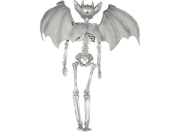 Hengende vampyrskjelett m/vinger 1 Hengende figur - 40cm 