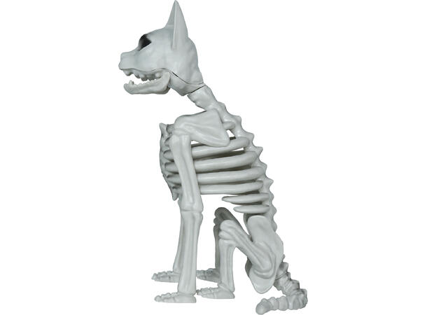 Katteskjelett 1 Dekorasjon i PVC - 37cm 
