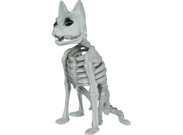 Katteskjelett 1 Dekorasjon i PVC - 37cm 