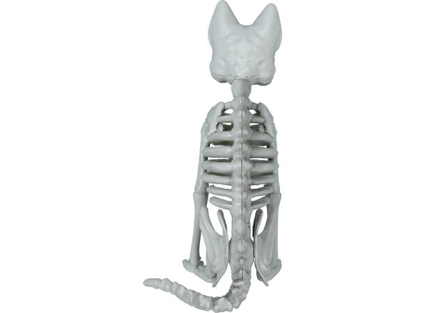 Katteskjelett 1 Dekorasjon i PVC - 37cm 