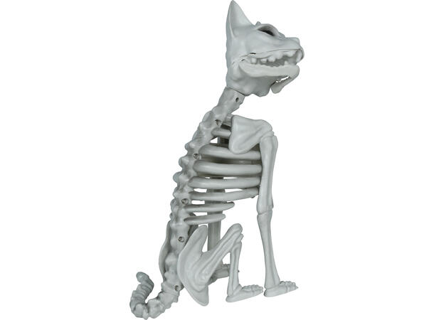 Katteskjelett 1 Dekorasjon i PVC - 37cm 