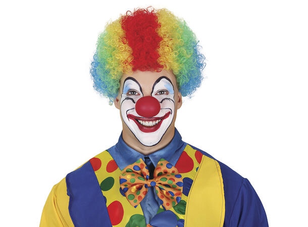 Klovneparykk m/krøller - Rainbow 1 Parykk i syntetisk hår til voksen 