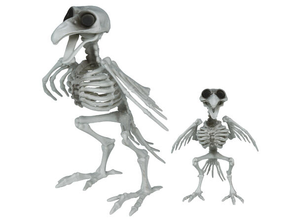 Kråkeskjelett 1 Dekorasjon i PVC - 20cm 