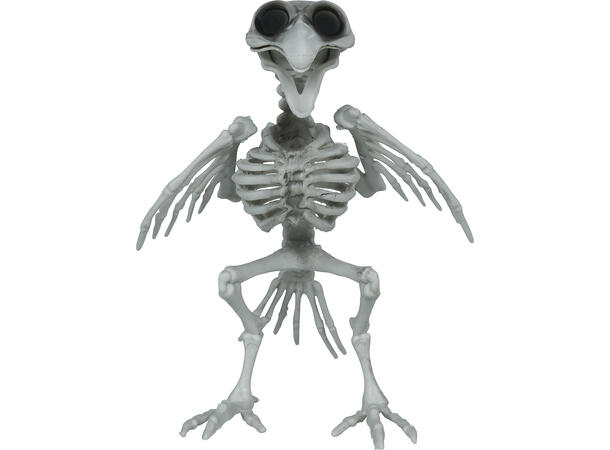 Kråkeskjelett 1 Dekorasjon i PVC - 20cm 