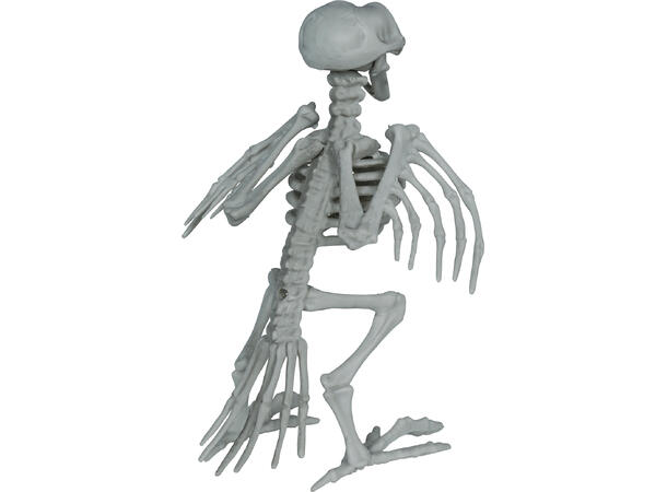 Kråkeskjelett 1 Dekorasjon i PVC - 20cm 