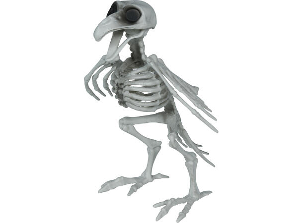 Kråkeskjelett 1 Dekorasjon i PVC - 20cm 