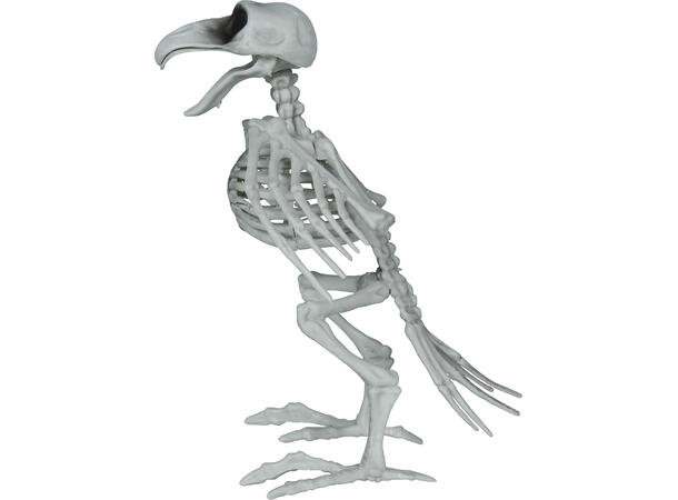 Kråkeskjelett 1 Dekorasjon i PVC - 20cm 