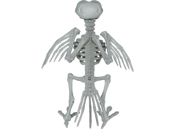 Kråkeskjelett 1 Dekorasjon i PVC - 20cm 