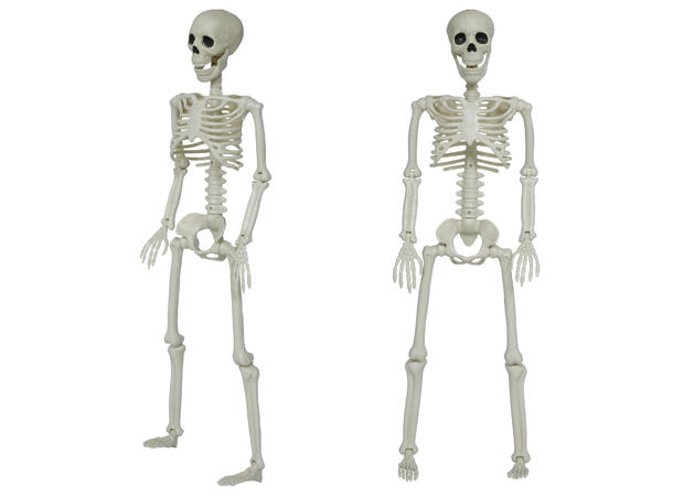 Menneskeskjelett 1 Dekorasjon i PVC - 90cm 