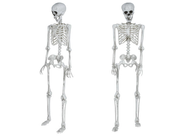 Skjelett med lysende øyne 1 Skjelett i PVC - 145cm 