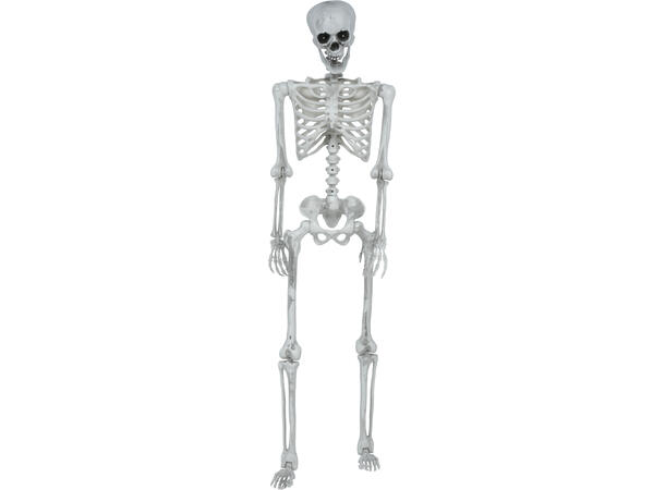 Skjelett med lysende øyne 1 Skjelett i PVC - 145cm 