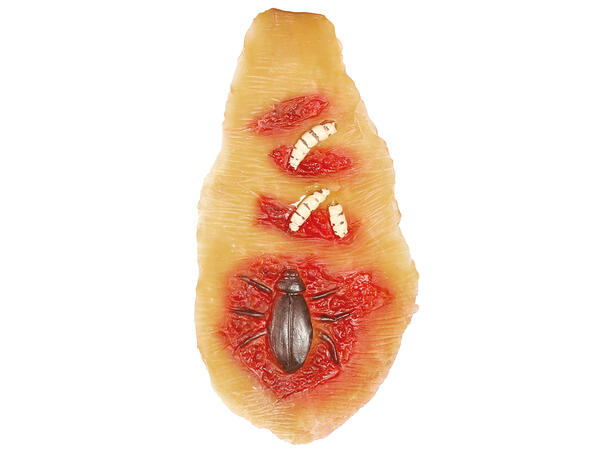 Arr med mark Kunstige arr i latex m/lim 