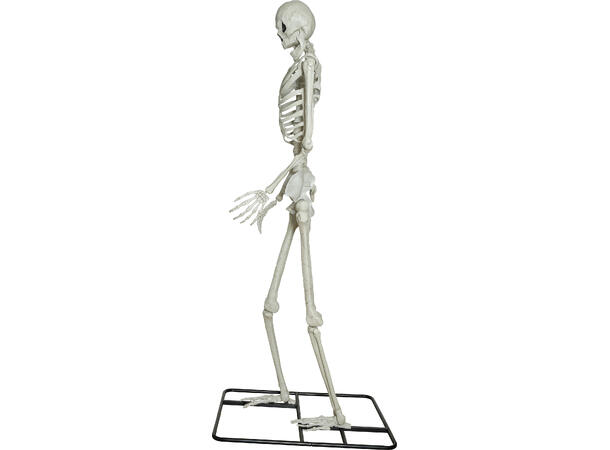 Gigantisk skjelett med lysende øyne 1 Skjelett i PVC på stativ m/lys - 300cm 