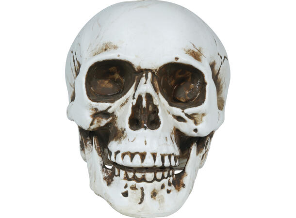 Hodeskalle - Hvit 1 Dekorasjon i PVC - 22cm 