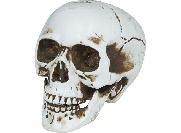 Hodeskalle - Hvit 1 Dekorasjon i PVC - 22cm 
