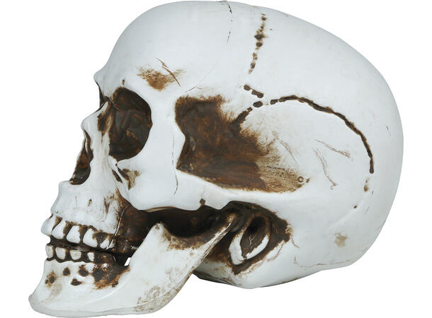 Hodeskalle - Hvit 1 Dekorasjon i PVC - 22cm 