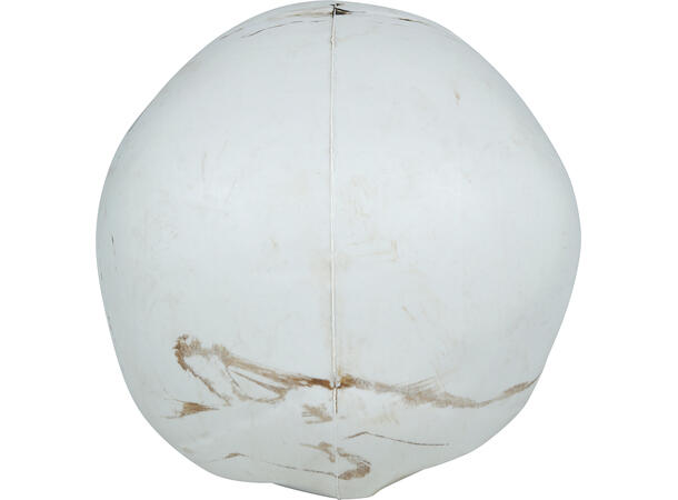 Hodeskalle - Hvit 1 Dekorasjon i PVC - 22cm 