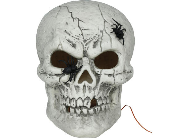 Hodeskalle med eddekopper og lys 1 Dekorasjon i PVC m/lys - 35cm 