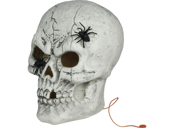 Hodeskalle med eddekopper og lys 1 Dekorasjon i PVC m/lys - 35cm 