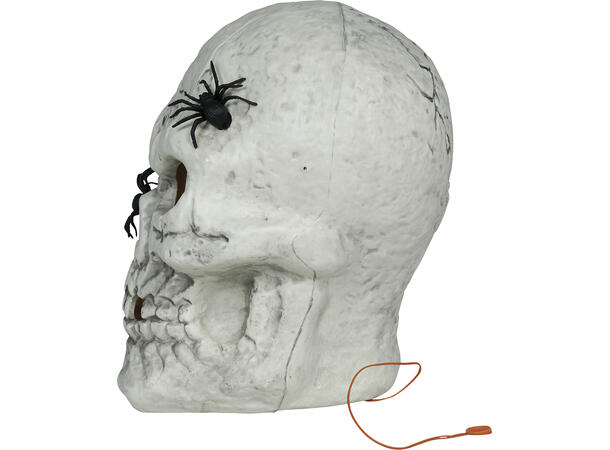 Hodeskalle med eddekopper og lys 1 Dekorasjon i PVC m/lys - 35cm 