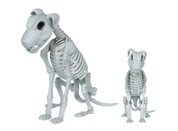 Hundekjelett 1 Dekorasjon i PVC - 38cm 