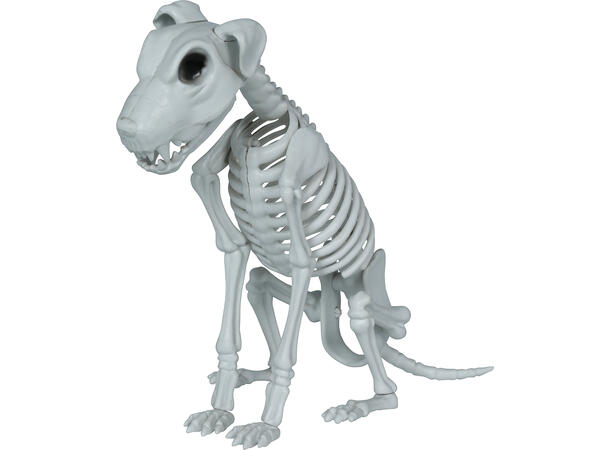 Hundekjelett 1 Dekorasjon i PVC - 38cm 