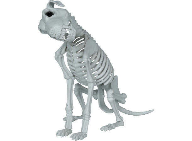 Hundekjelett 1 Dekorasjon i PVC - 38cm 