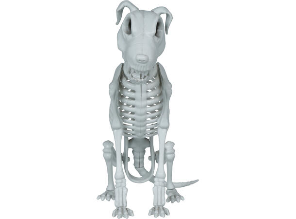 Hundekjelett 1 Dekorasjon i PVC - 38cm 