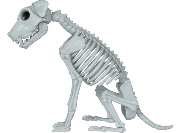 Hundekjelett 1 Dekorasjon i PVC - 38cm 
