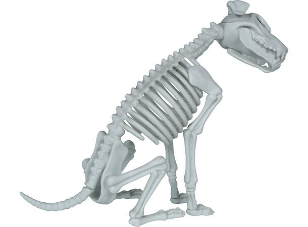 Hundekjelett 1 Dekorasjon i PVC - 38cm 